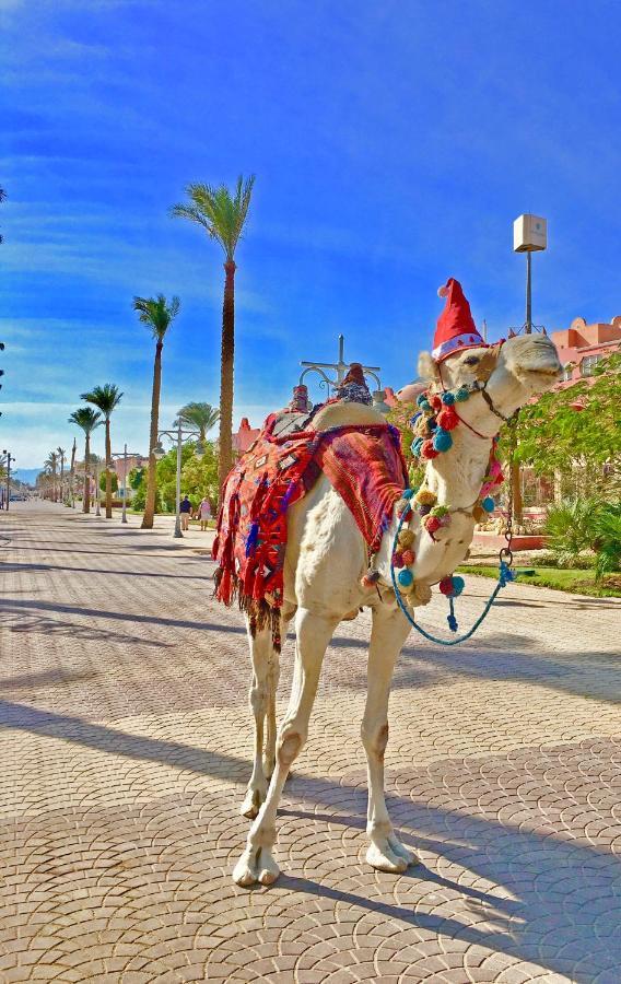 The Touristic Promenade Apartment Hurghada Exteriér fotografie
