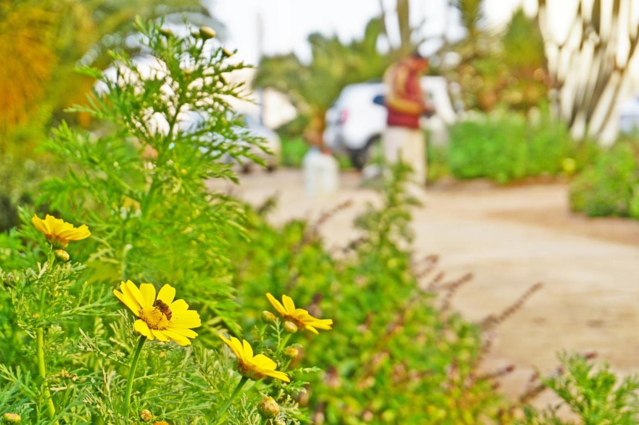 The Touristic Promenade Apartment Hurghada Exteriér fotografie